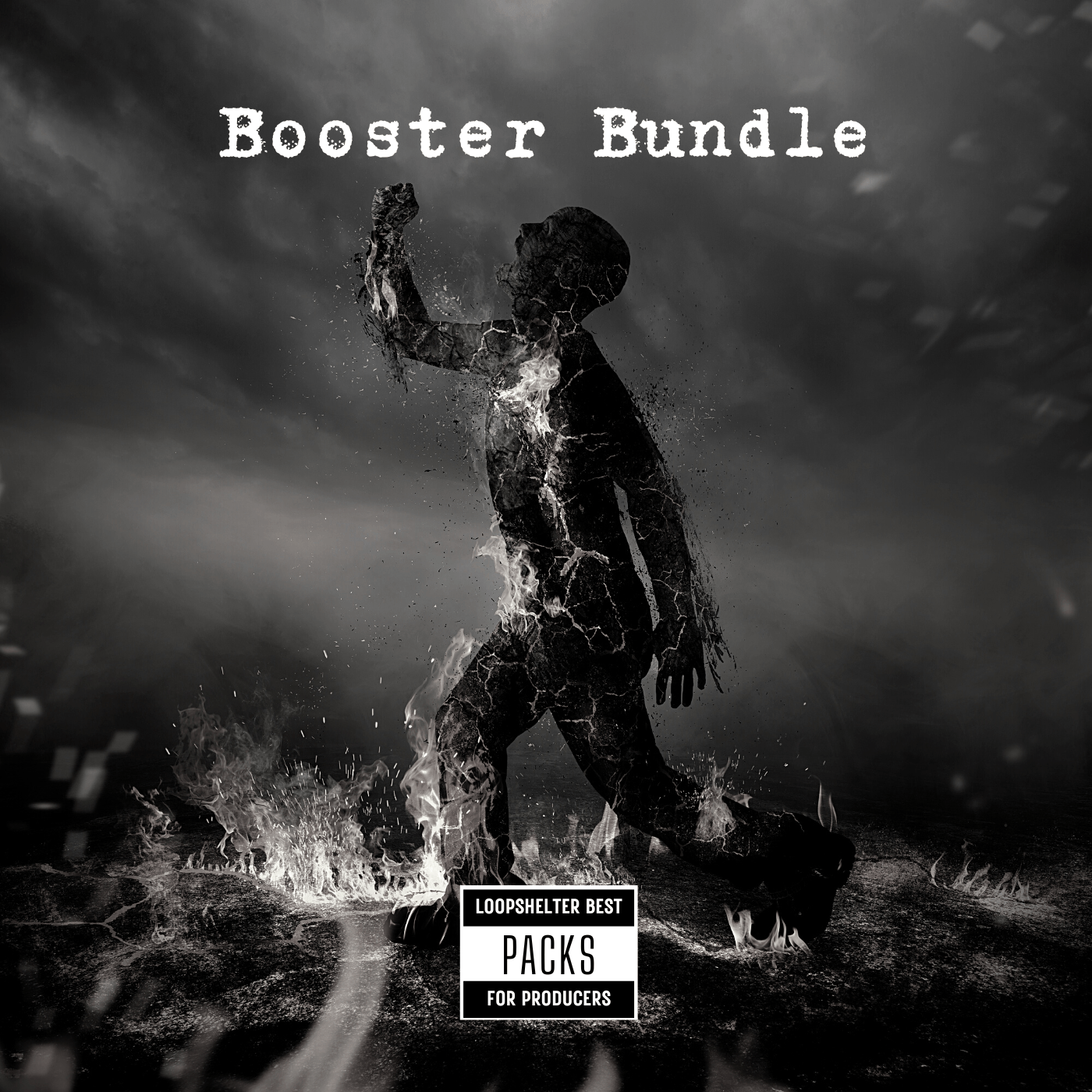 🎹 BOOSTER BUNDLE 🗃️ - LoopShelter